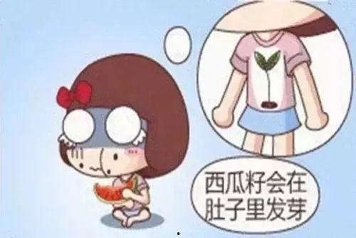 吃瓜容易呕吐吗,吃瓜引发呕吐现象揭秘  第3张